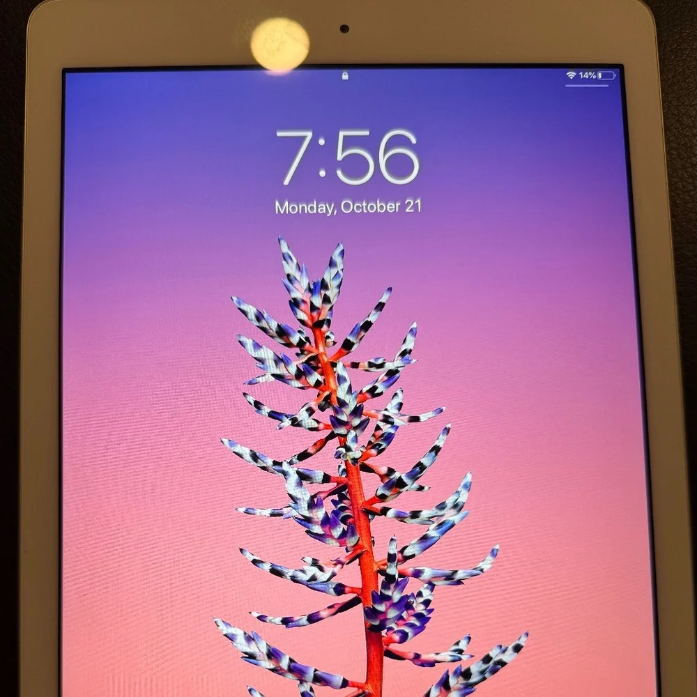 apple ipad